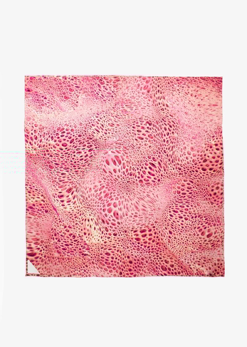 cheetahmoussard-pink_1.jpg?ts=20250423112013