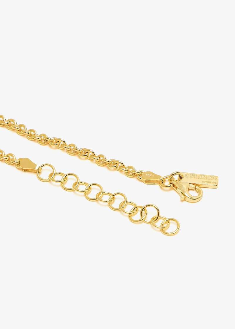cl-mincblb-g-gold_5.jpg?ts=20250218030515