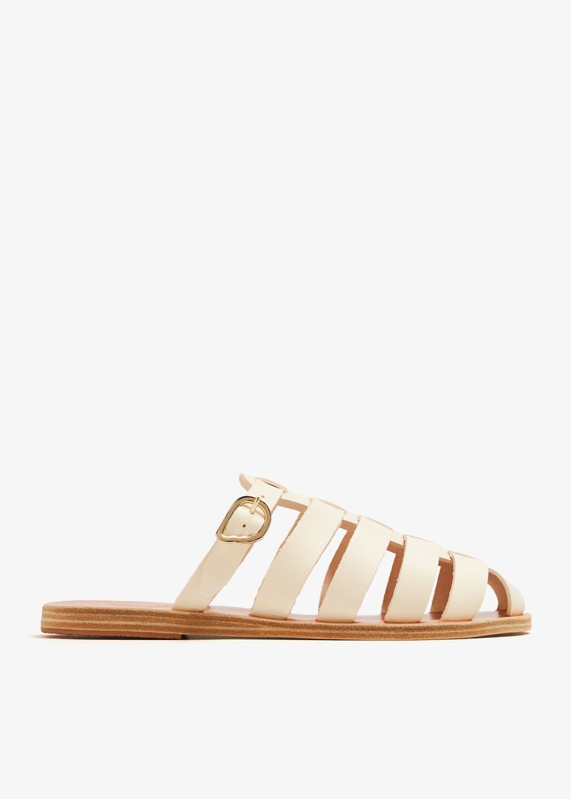 cosmia-offwht_1.jpg?ts=20240622030519