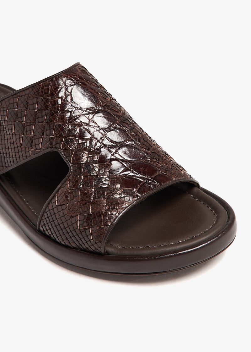 cropyt0598-brown_3.jpg?ts=20241002051021