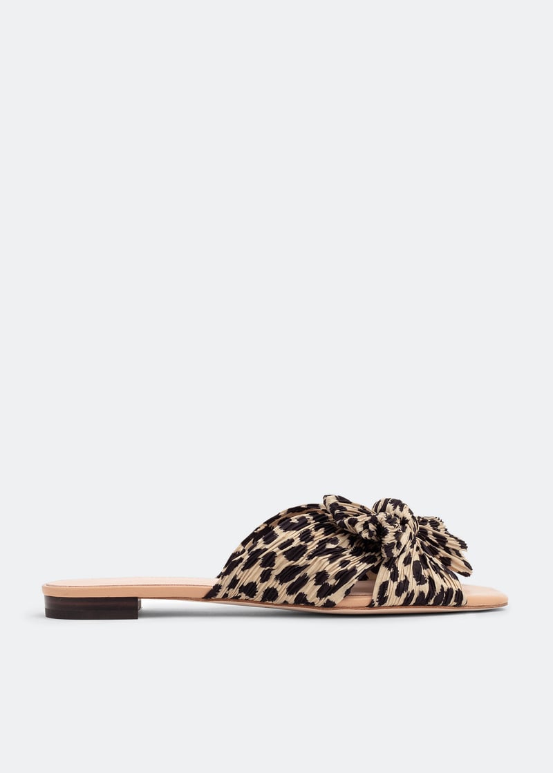 daphne-plfa-leopa_1.jpg?ts=20220504182954