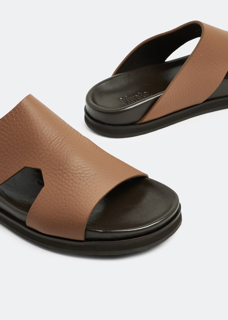dcf1508amano-brown_3.jpg?ts=20230524030511