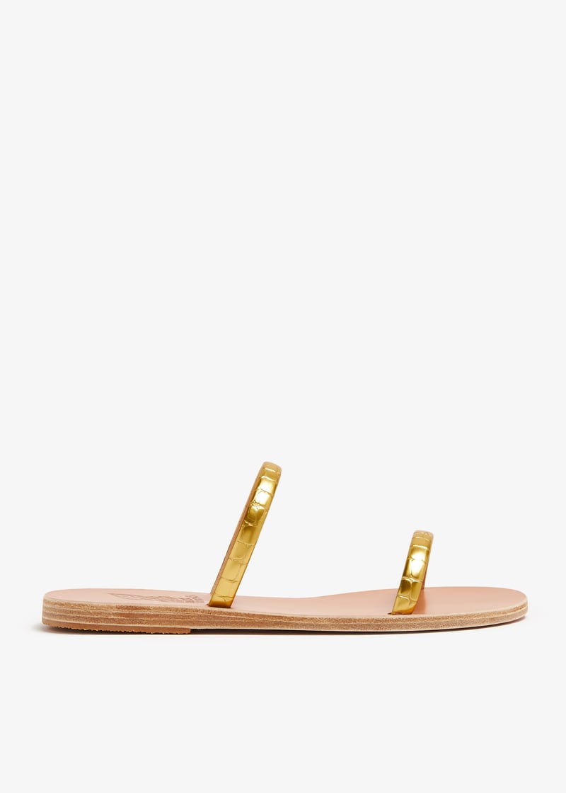 echidna-gold_1.jpg?ts=20231223030520