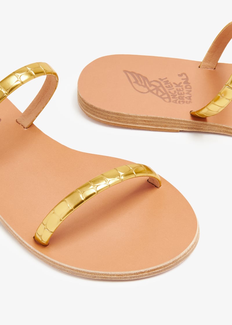 echidna-gold_3.jpg?ts=20231223030520