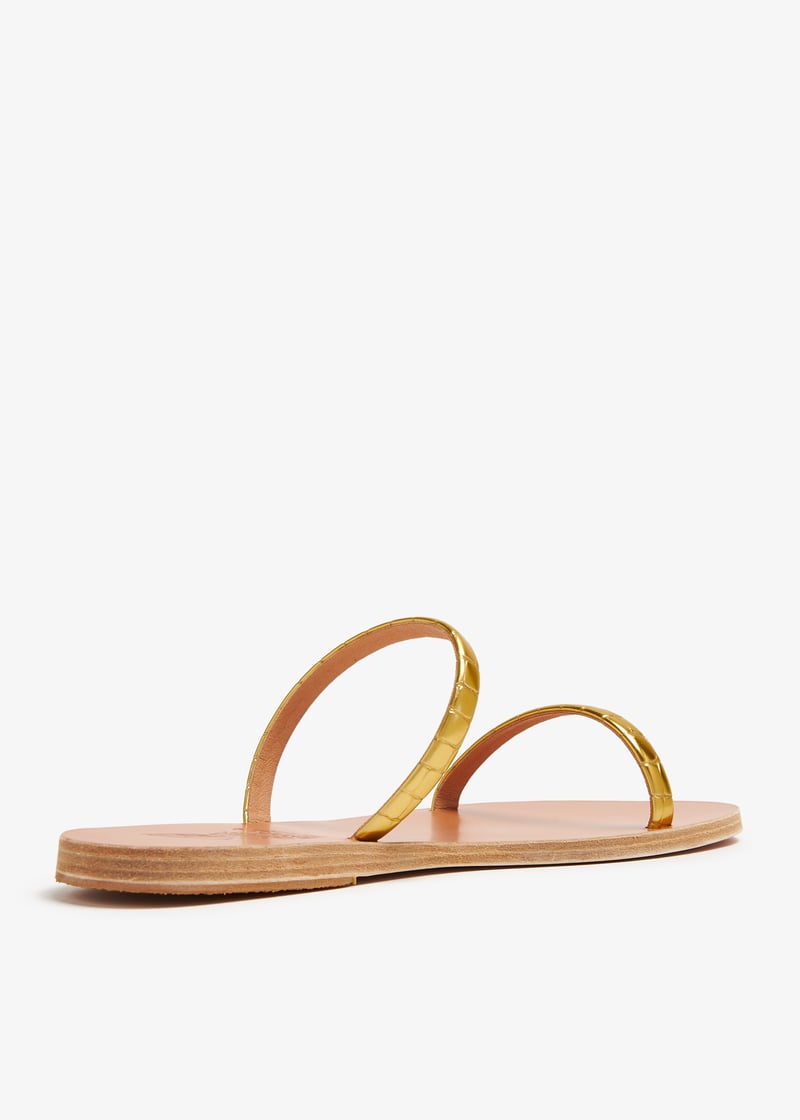 echidna-gold_4.jpg?ts=20231223030520