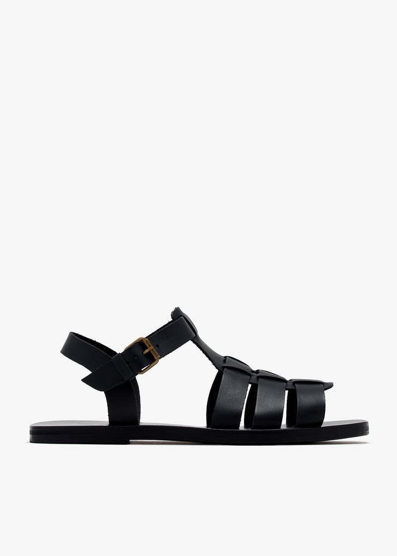 ektoras-black_1.jpg?ts=20241213033016