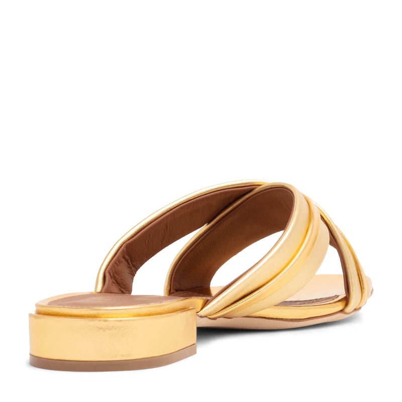 gavi1011-gld_2.jpg?ts=20220505183921
