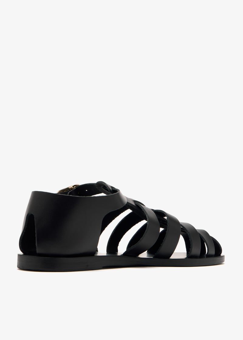 homeria-black_6.jpg?ts=20250123033014