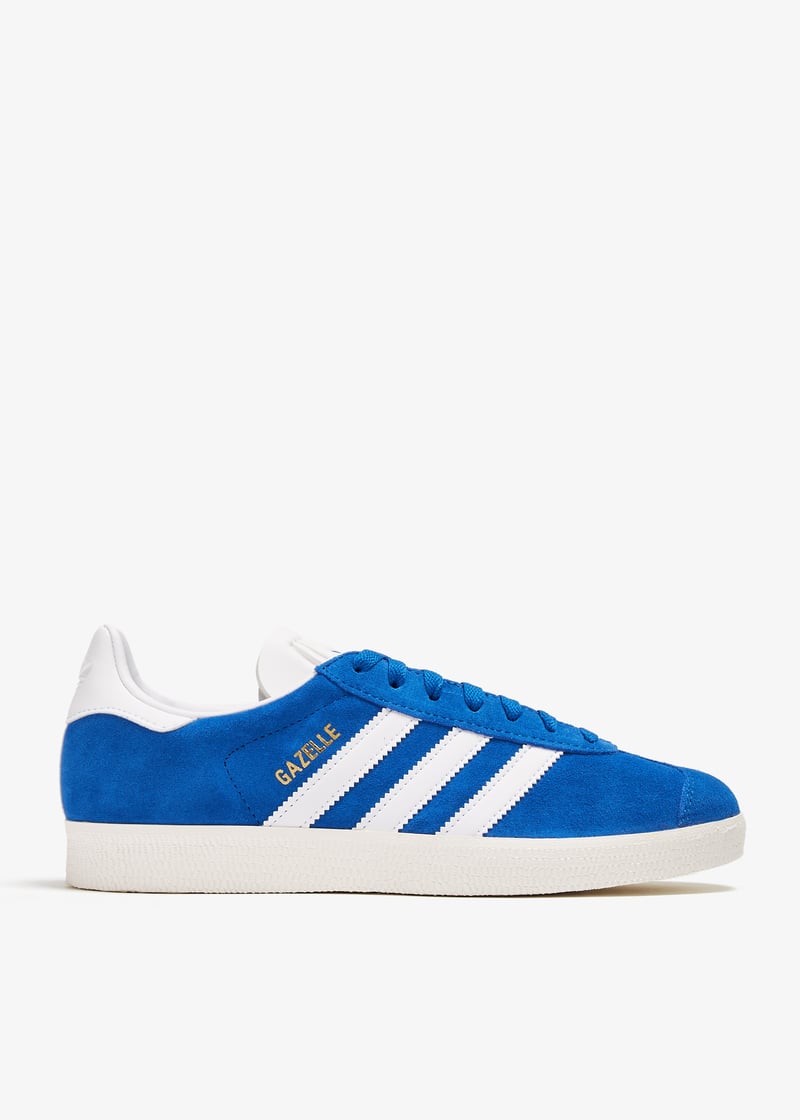ig2093-blftco_1.jpg?ts=20240801030517