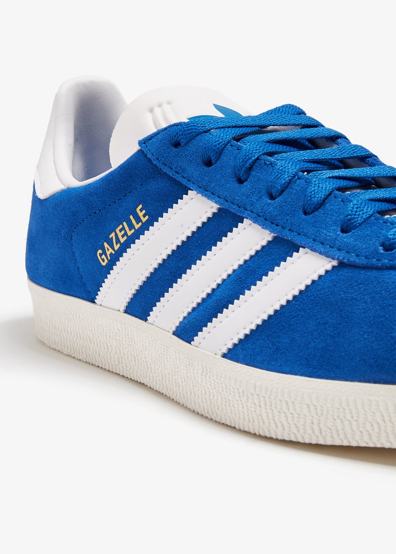 ig2093-blftco_5.jpg?ts=20240801030517