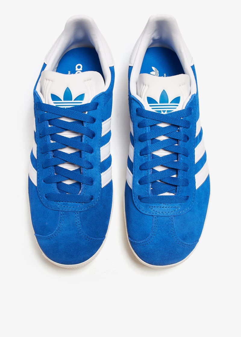 ig2093-blftco_7.jpg?ts=20240801030517