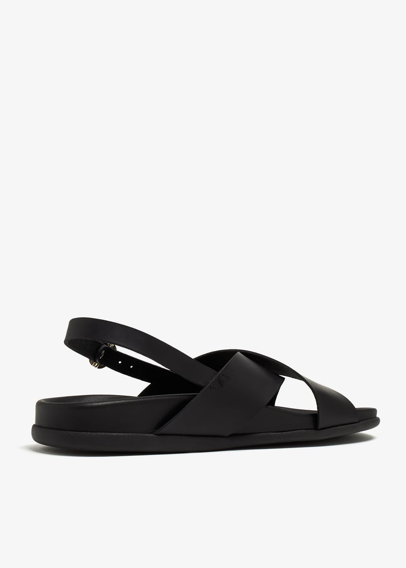 ikesia-black_6.jpg?ts=20240509034031