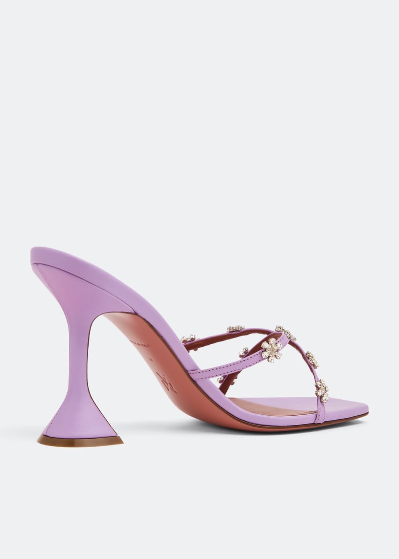lilyslipper-naplil_4.jpg?ts=20220731030507