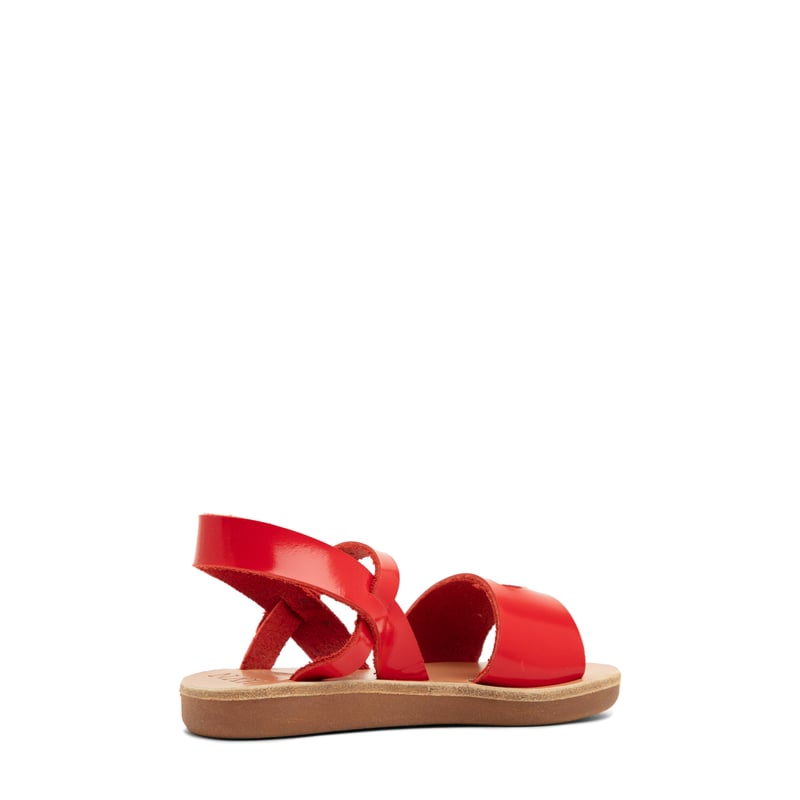 littlekalliroihertco-red_2.jpg?ts=20220504184557