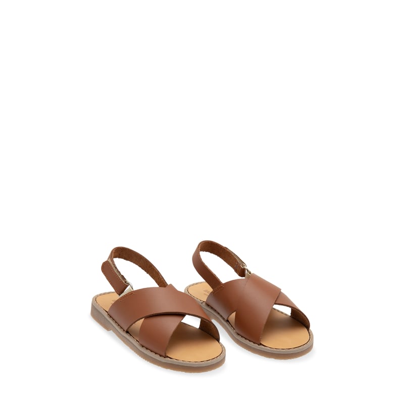pb0023-camel_2.jpg?ts=20220524041604