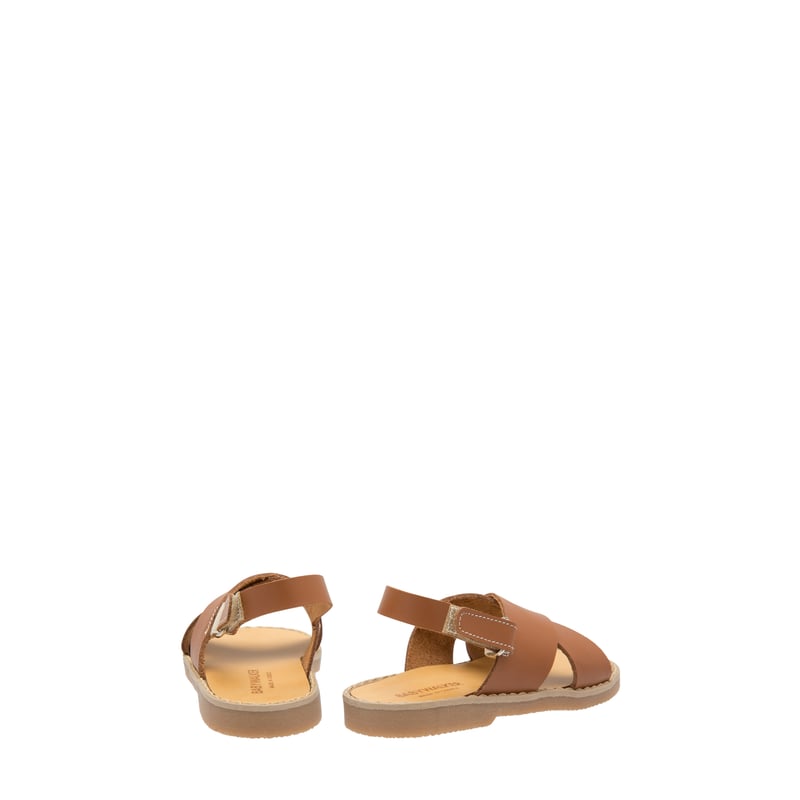 pb0023-camel_3.jpg?ts=20220524041604