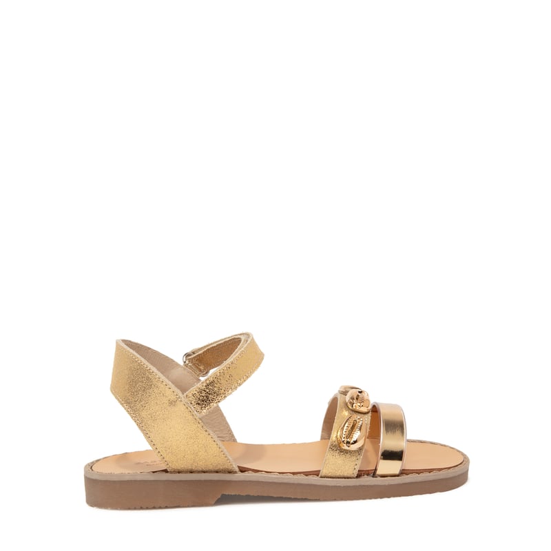 pb0062-gold_1.jpg?ts=20220504185058