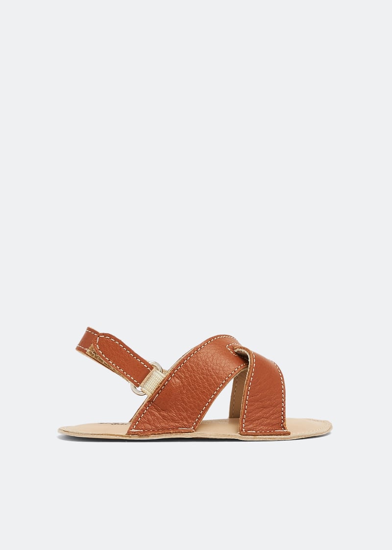 pb1075-camel_1.jpg?ts=20230114035507