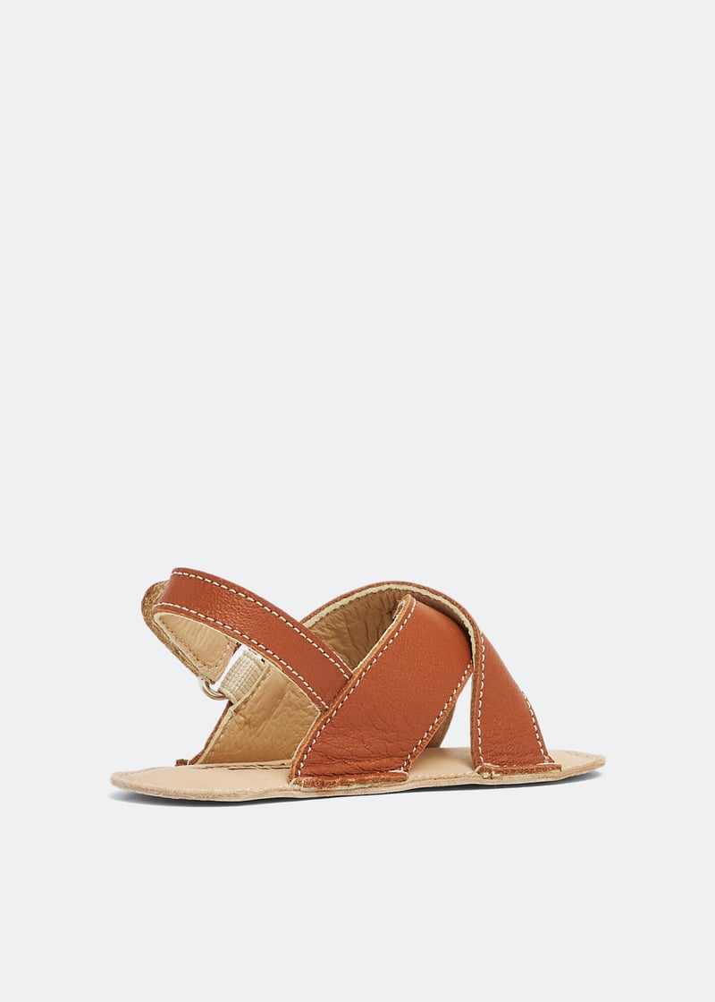 pb1075-camel_3.jpg?ts=20230114035507