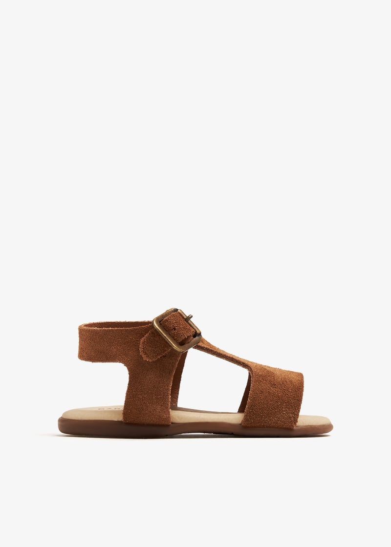 pb2110-camel_1.jpg?ts=20240131030523