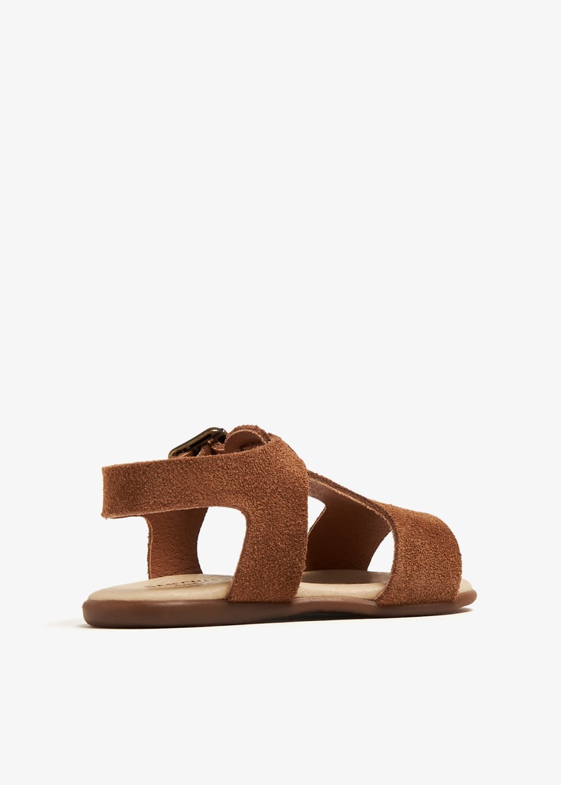 pb2110-camel_6.jpg?ts=20240131030523