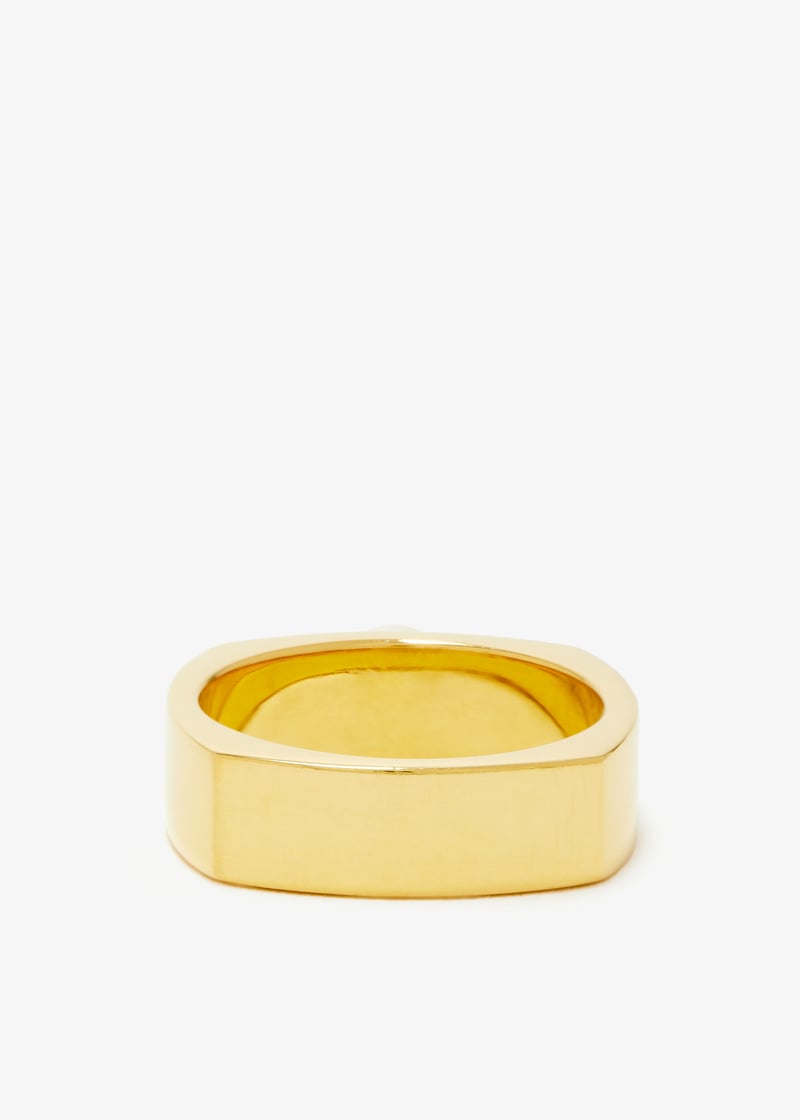 pe-g-r1-pl-gold_4.jpg?ts=20241109034019