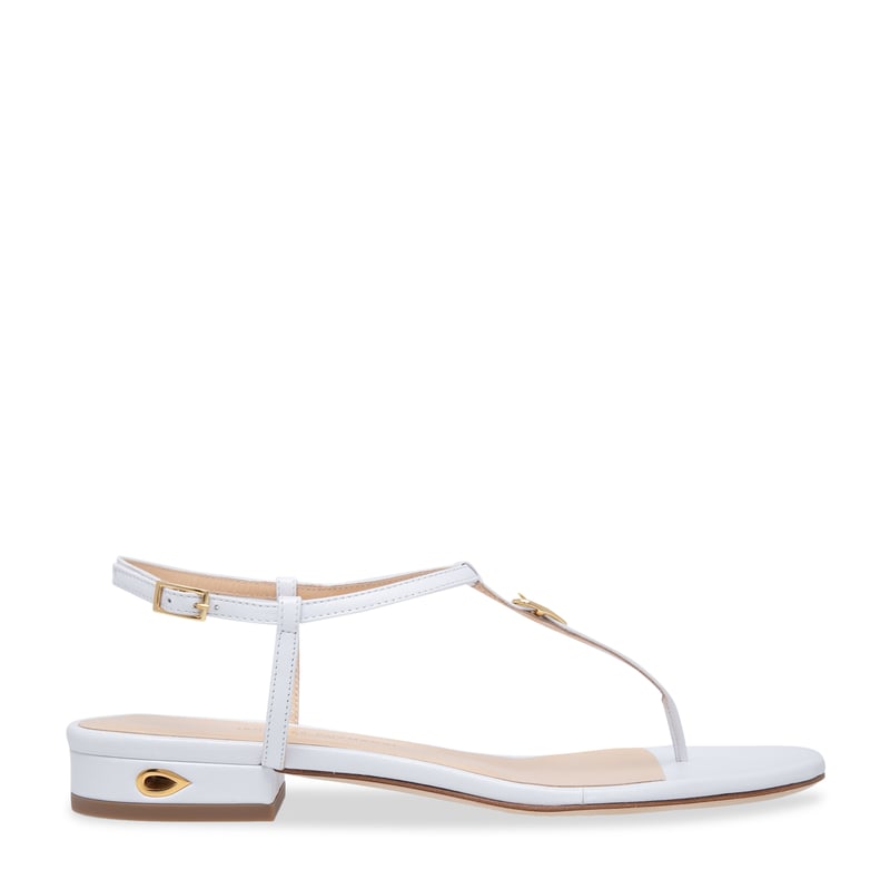 pietro20-white_1.jpg?ts=20220505184357