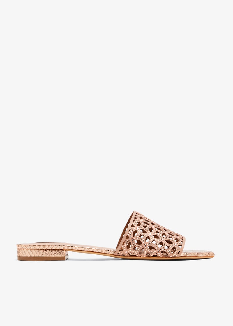 placida-peach_1.jpg?ts=20240112035650