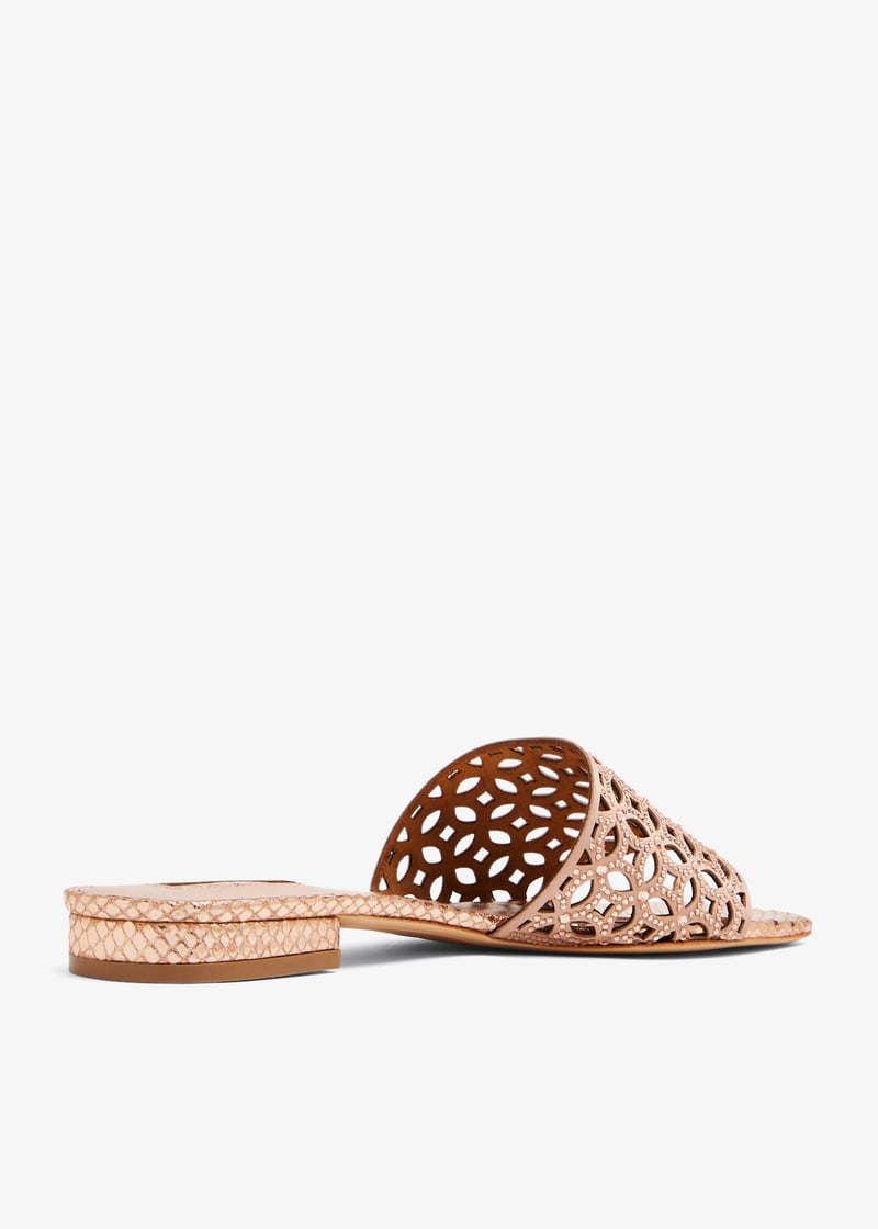 placida-peach_4.jpg?ts=20240112035650
