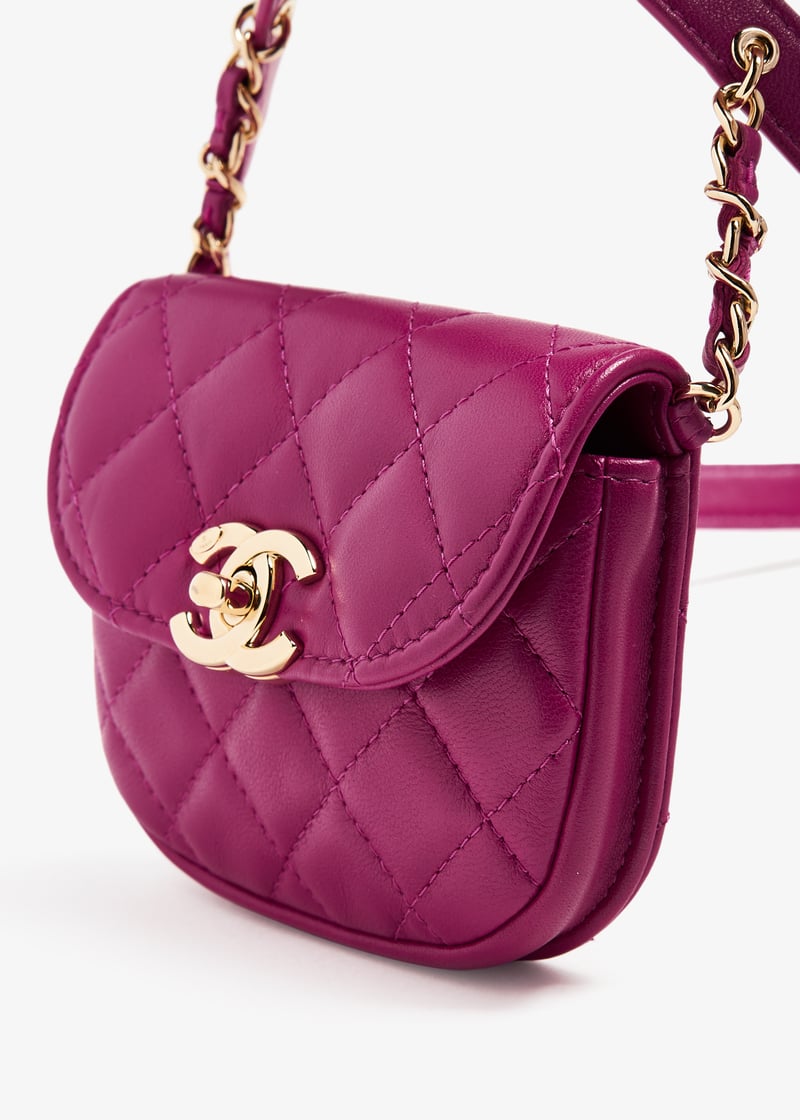 pldbeltbagpink001_6.jpg?ts=20231026034127
