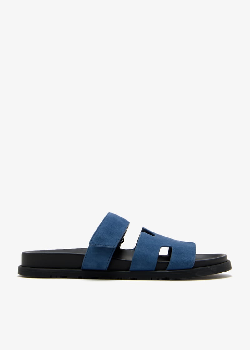 pldchypresndl101-blue_1.jpg?ts=20250424030522