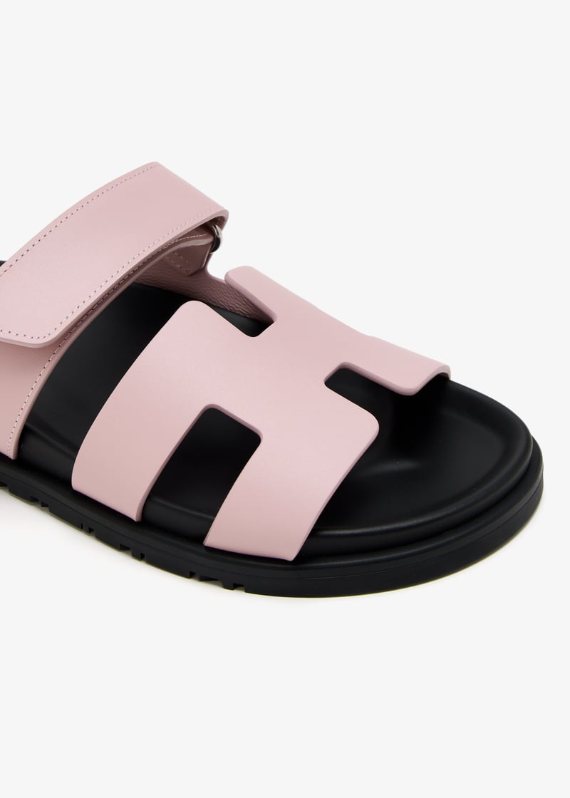 pldchypresndl110-pinks_2.jpg?ts=20250423120515