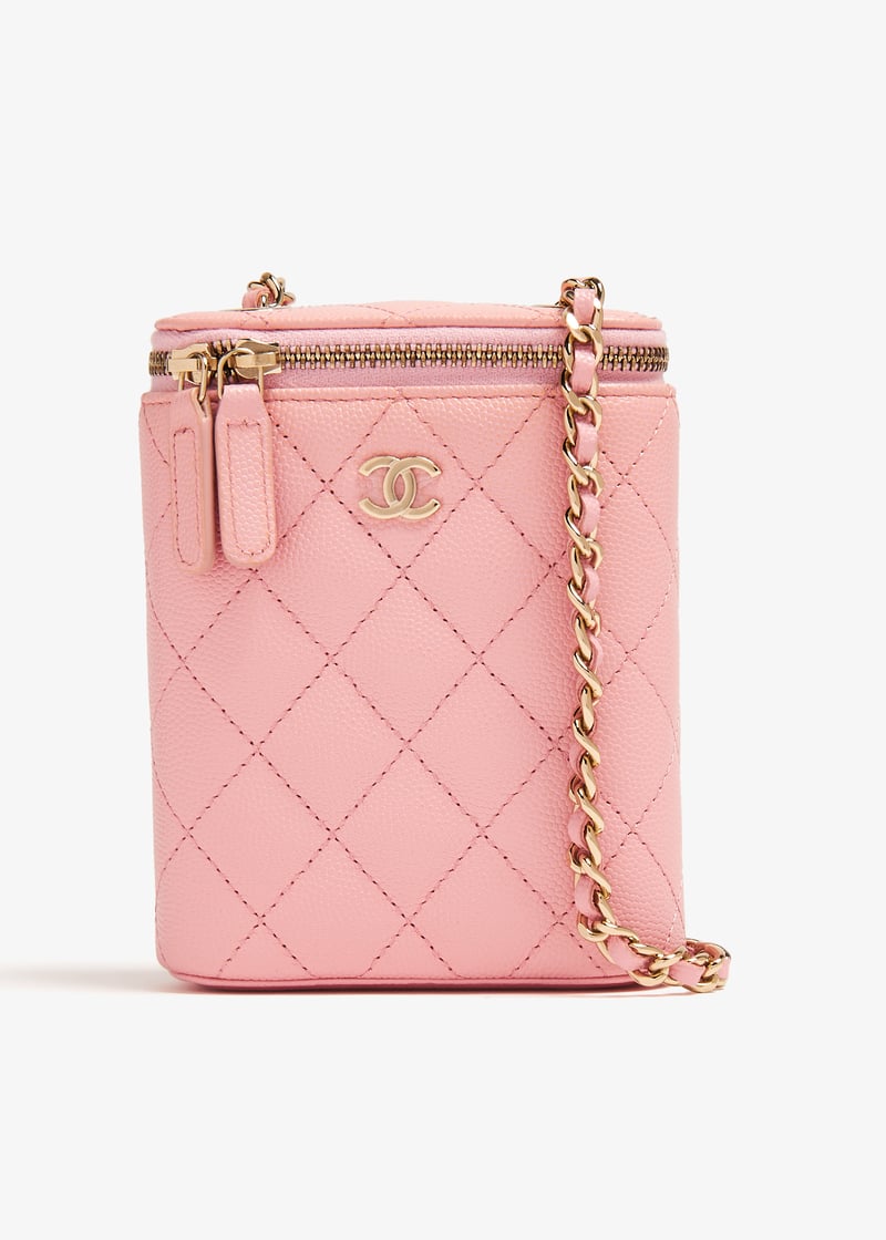 pldvanitybagpink001_1.jpg?ts=20240202030520