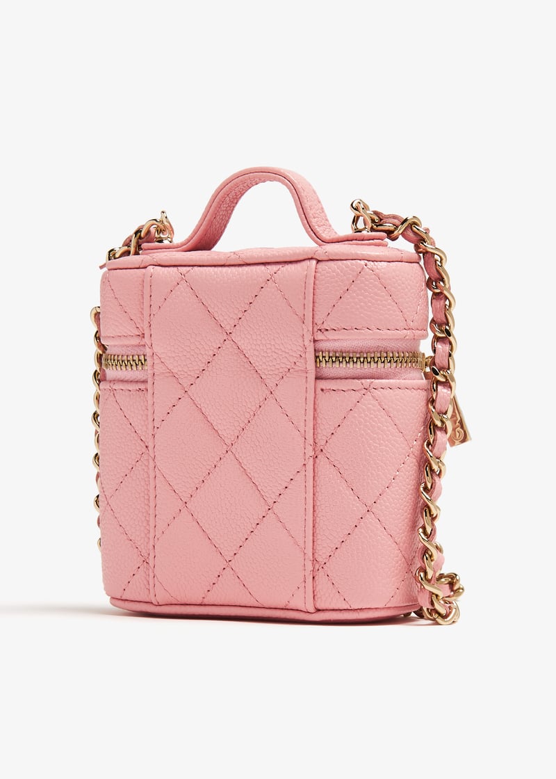 pldvanitybagpink002_4.jpg?ts=20240202030520