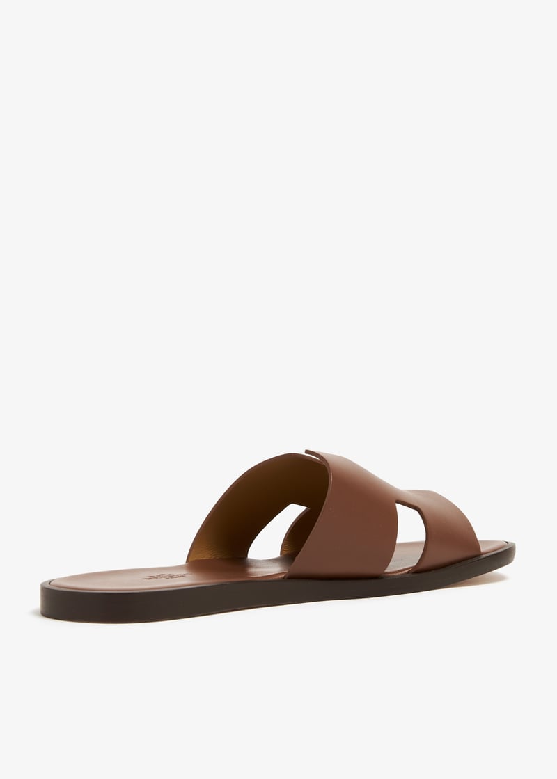 plllvd-6963-brown_3.jpg?ts=20231124034143