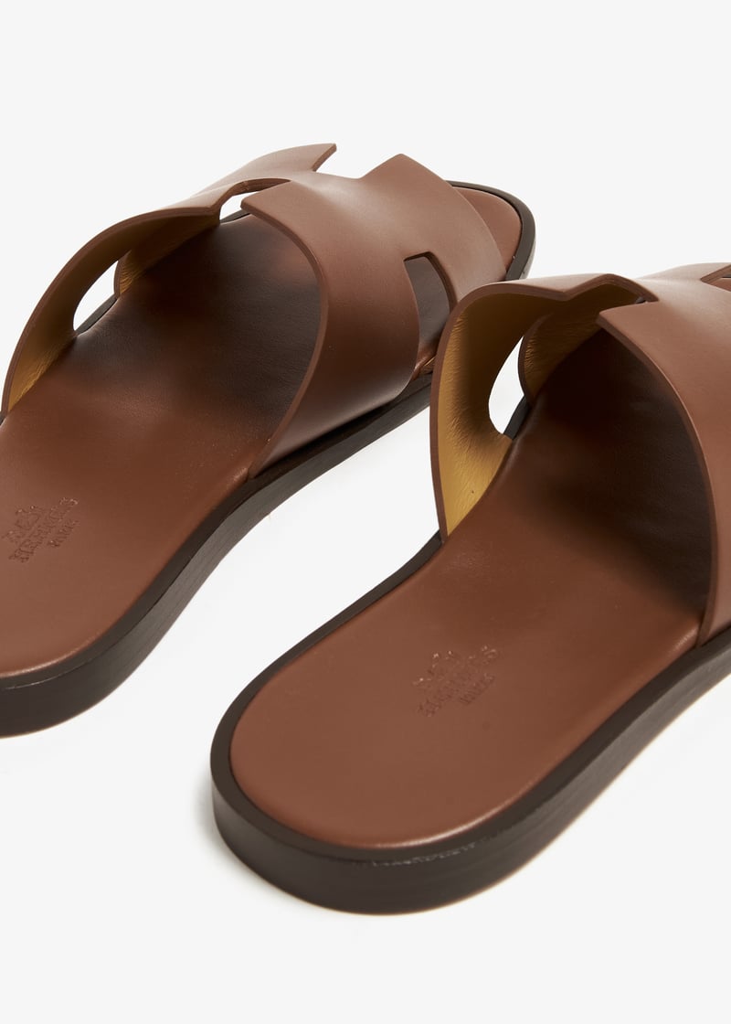 plllvd-6963-brown_6.jpg?ts=20231124034143