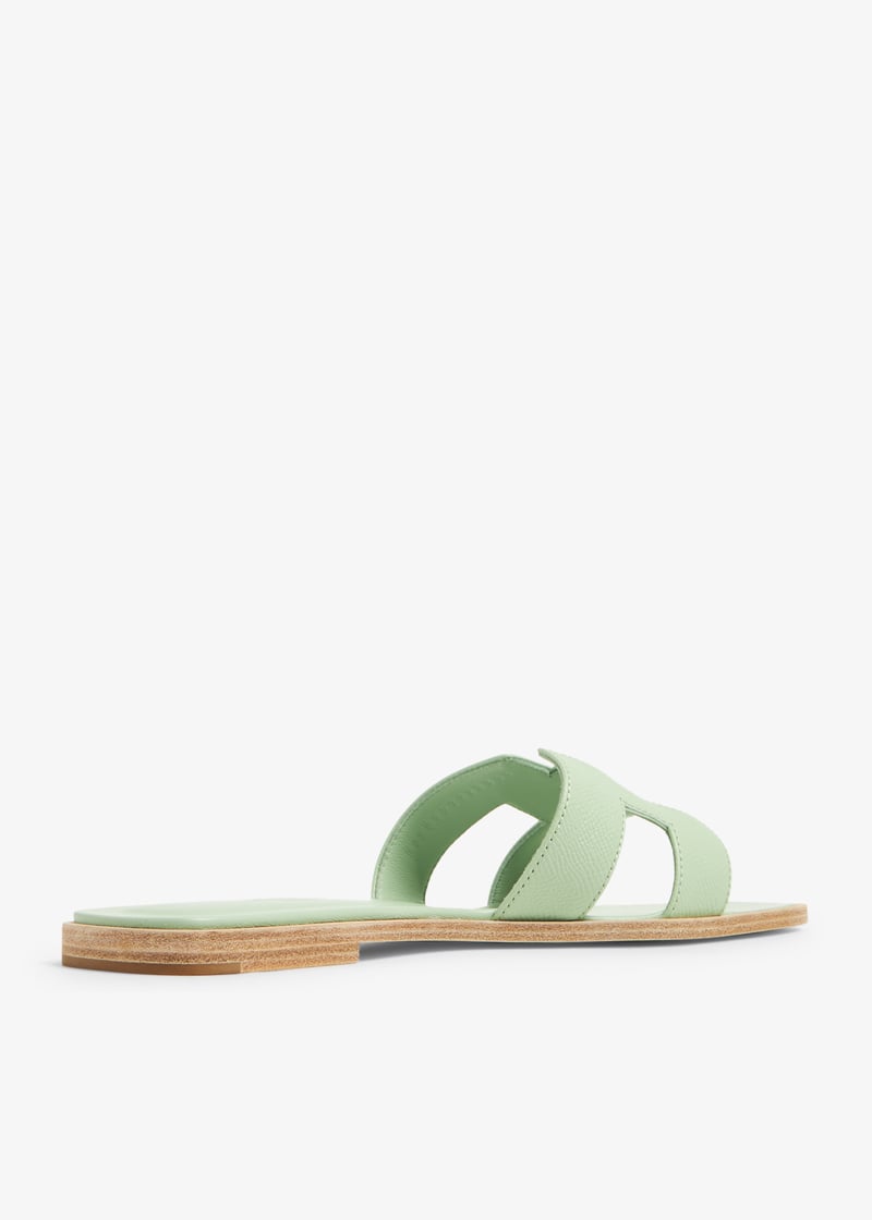 pllrjc2406-greens_3.jpg?ts=20231124034153