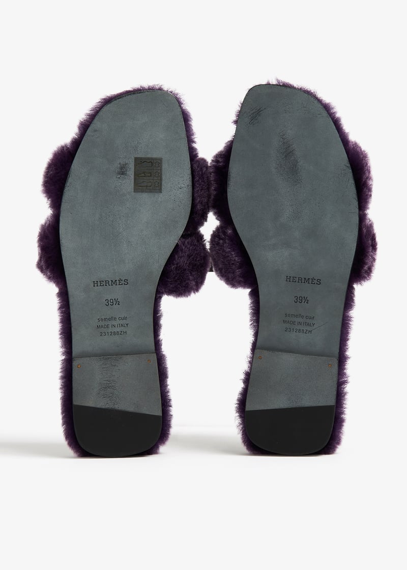 pllrjc2443-purple_6.jpg?ts=20231124034155