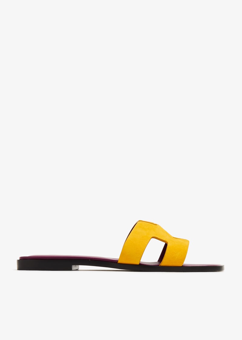 pllrjc2955yellow_1.jpg?ts=20240221034549