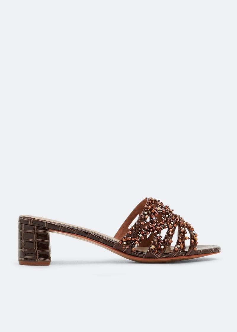 pollack-brown_1.jpg?ts=20220505153008