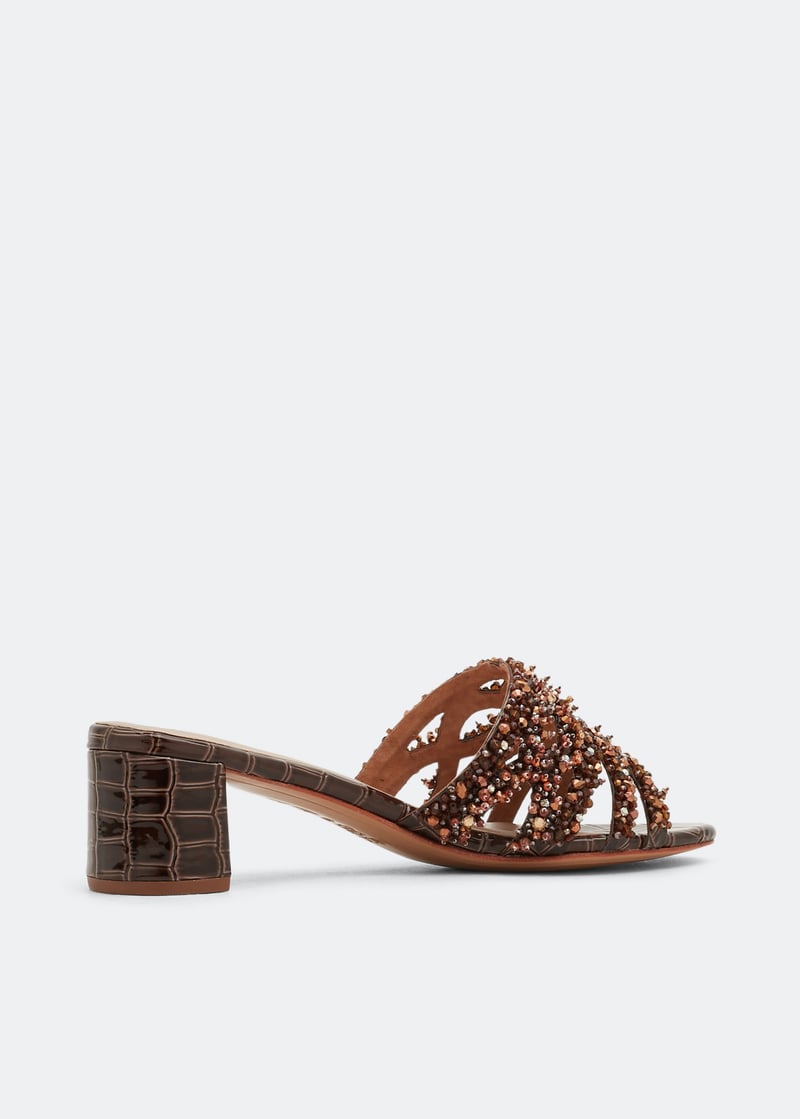 pollack-brown_4.jpg?ts=20220505153008