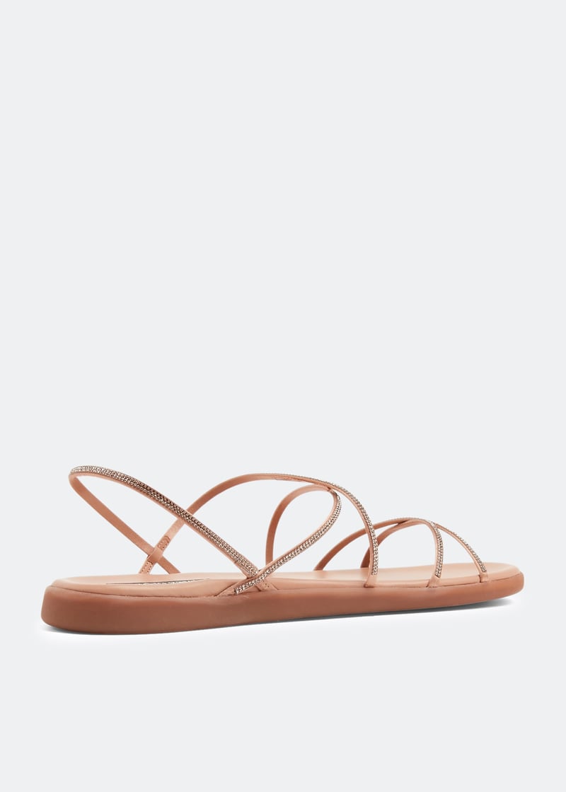 praxe-camel_4.jpg?ts=20220715030520