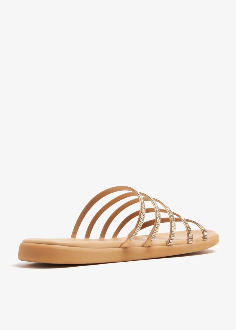 prudie-v24-ore_4.jpg?ts=20231230030516