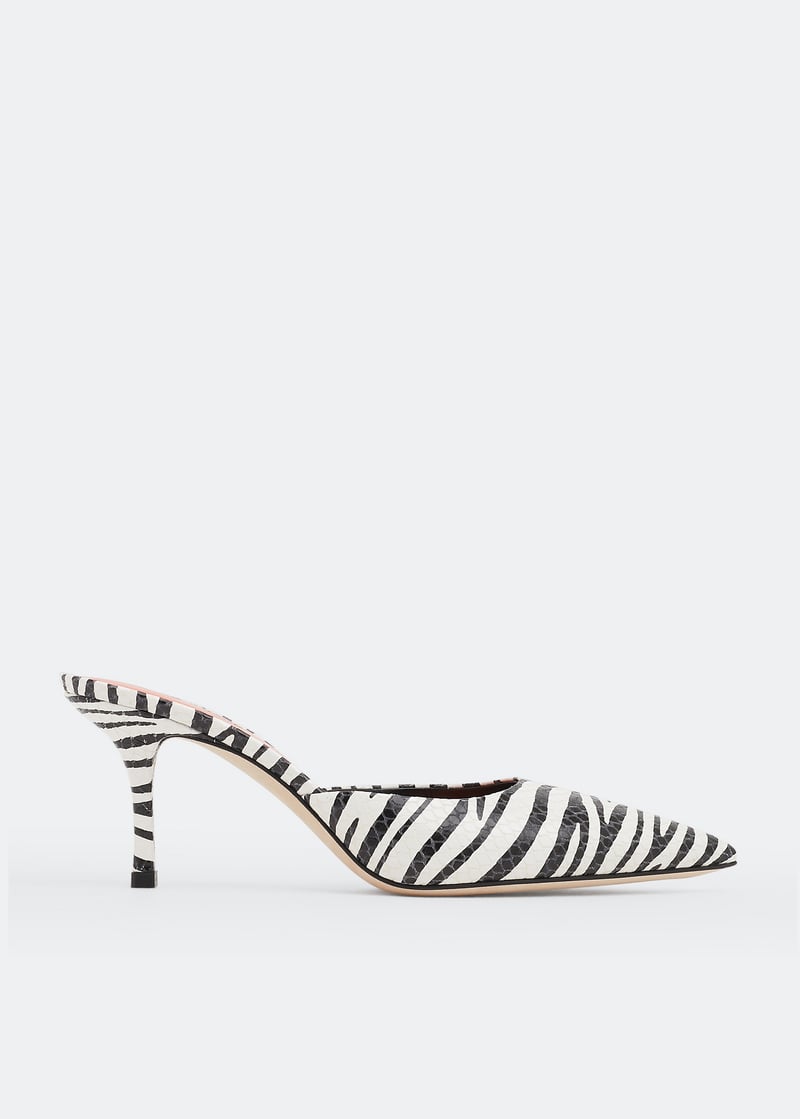 px713-xpzsf-zebra_1.jpg?ts=20220505184410