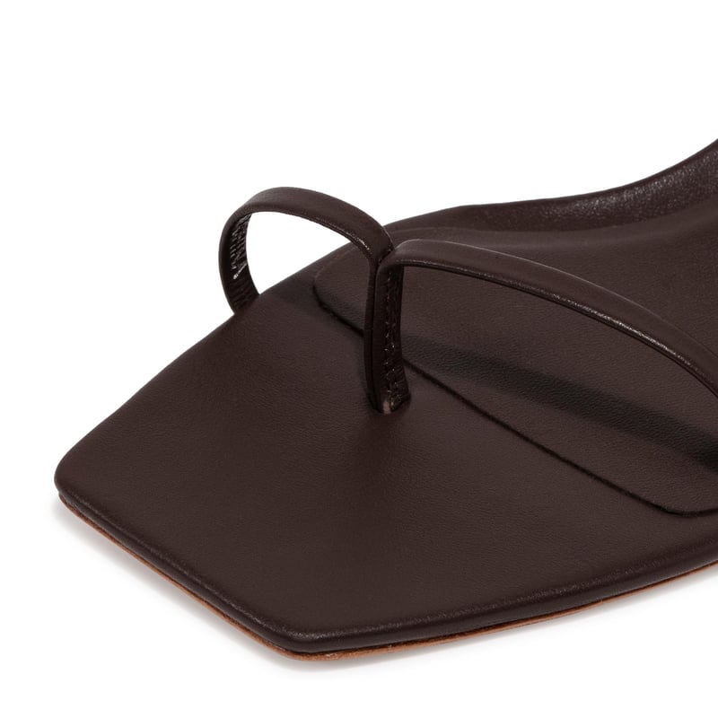 r21f001-choco_3.jpg?ts=20220505184415
