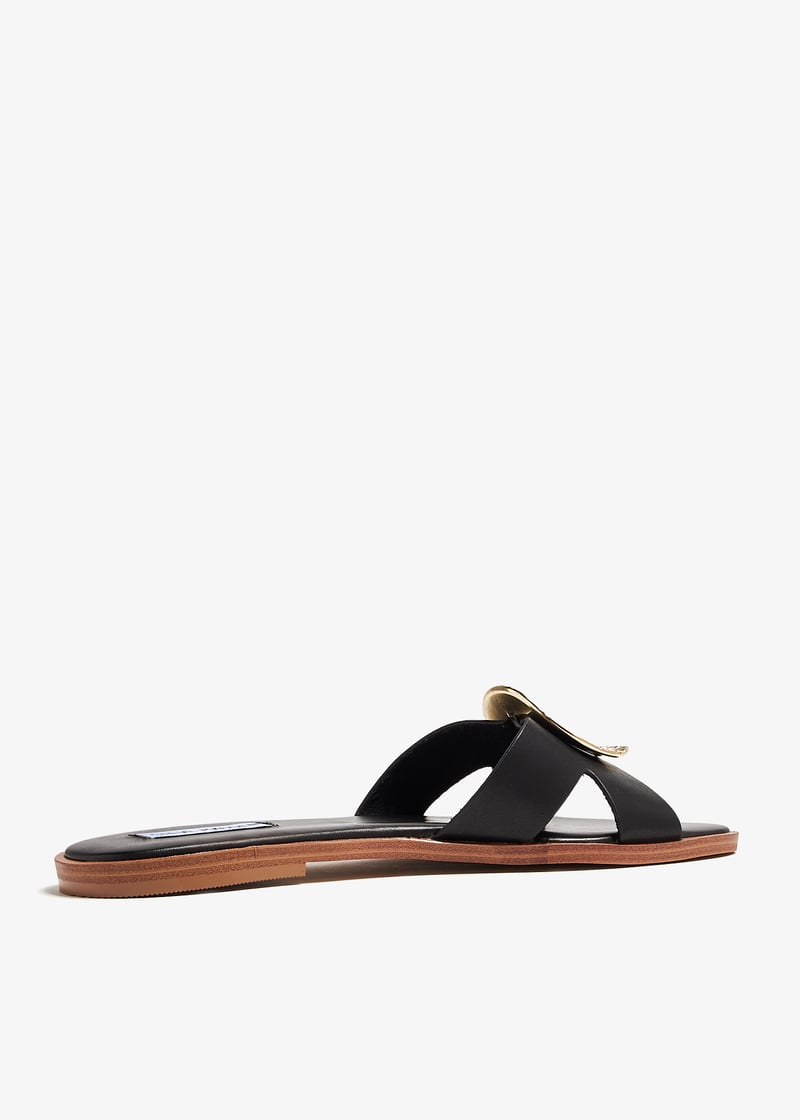 rose11s1-017_6.jpg?ts=20240813030517