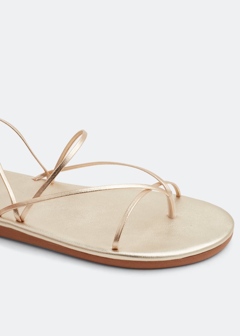stringflipflop-alptnm_3.jpg?ts=20220505160113