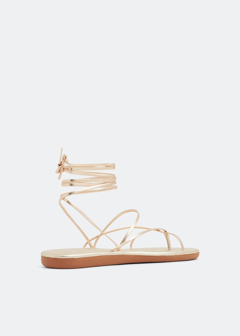 stringflipflop-alptnm_4.jpg?ts=20220505160113