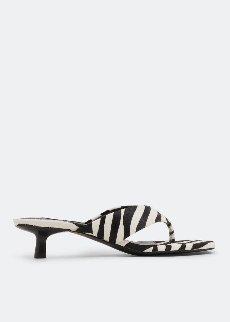 tashii-zebra_1.jpg?ts=20220505184643