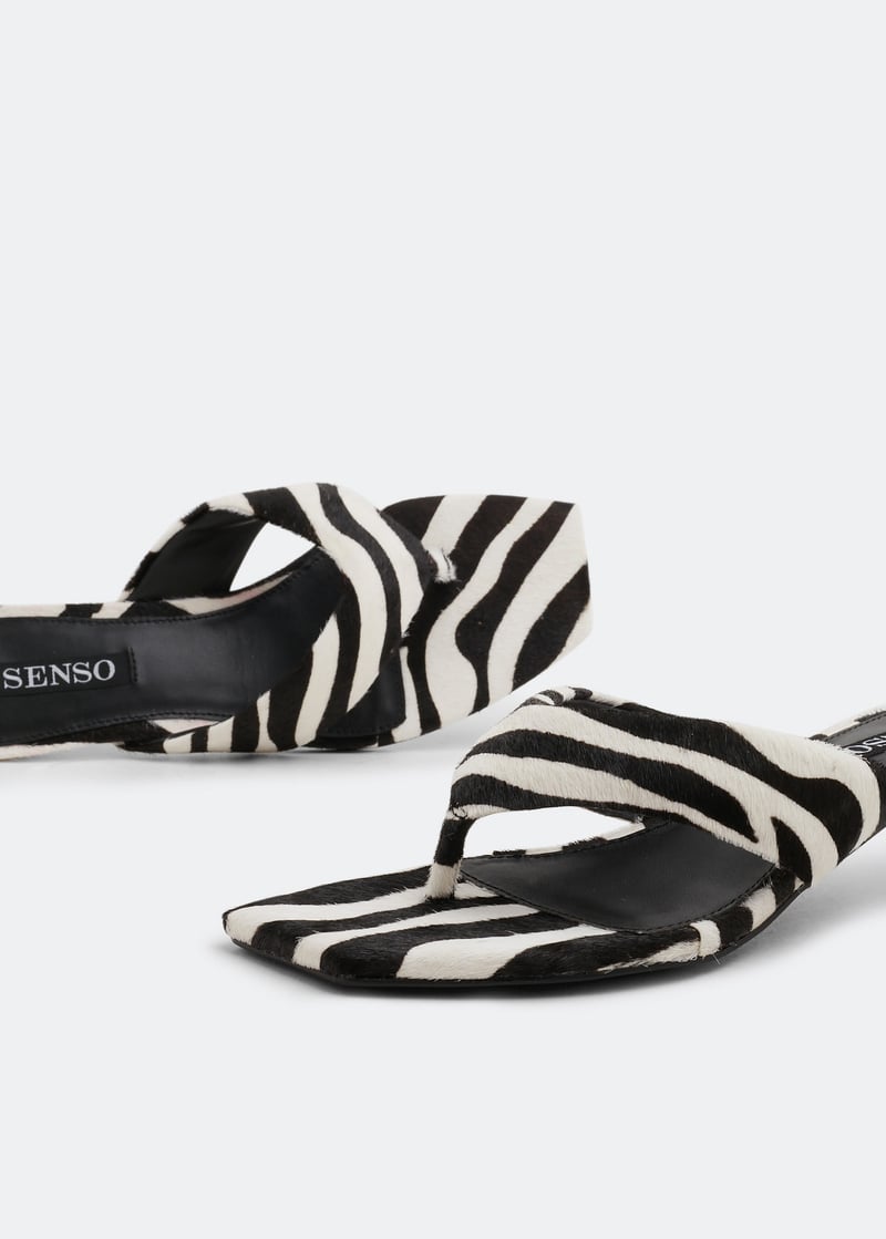tashii-zebra_3.jpg?ts=20220505184643